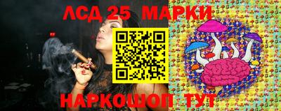 мяу мяу мука Баксан