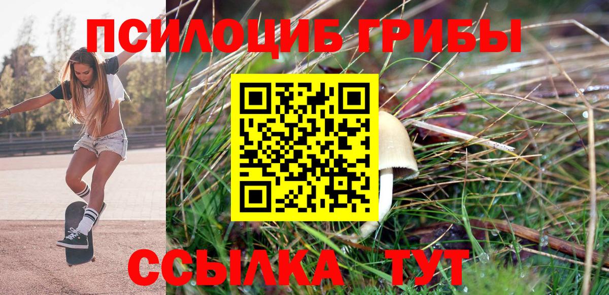 Псилоцибиновые грибы мицелий  Уфа  Галлюциногенные грибы мухоморы 