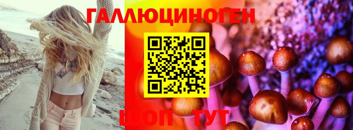 Галлюциногенные грибы Psilocybe  Псилоцибиновые грибы MAGIC MUSHROOMS  Вход с VPN  Уфа 
