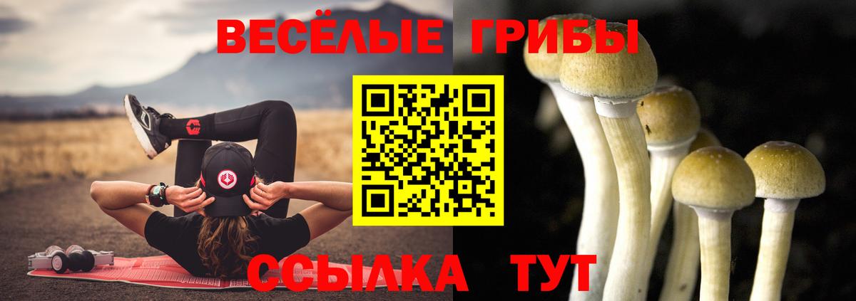Псилоцибиновые грибы Magic Shrooms Уфа