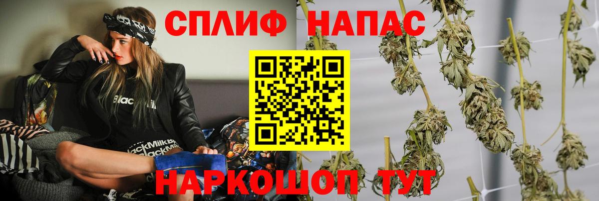 Бошки Шишки планчик Уфа